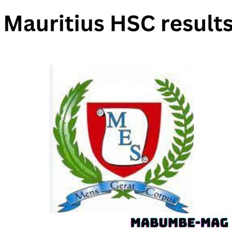annual hsc examination result 2023|MAURITIUS EXAMINATIONS SYNDICATE – Mauritius .